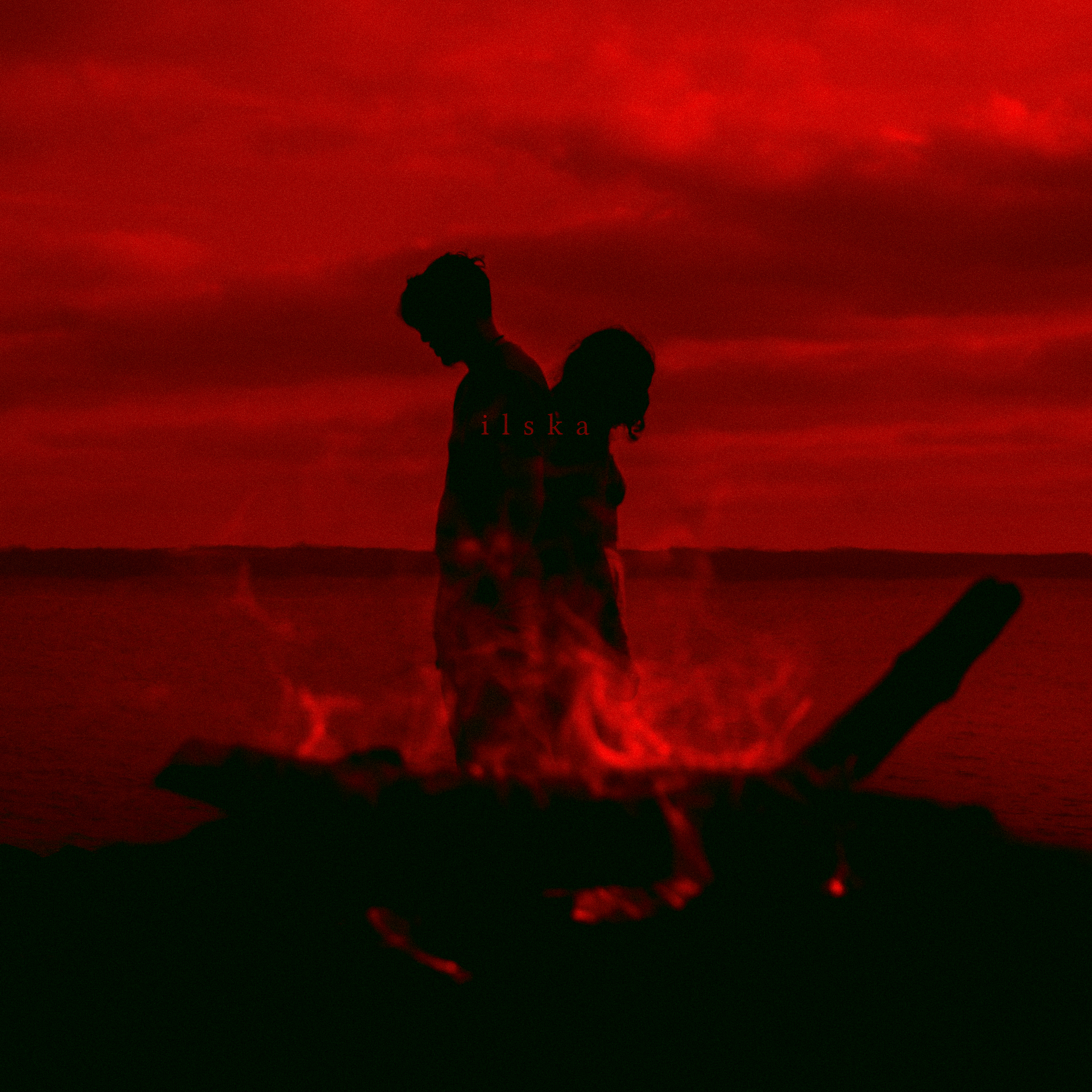 COVER ILSKA - KAM.jpeg (15.22 MB)