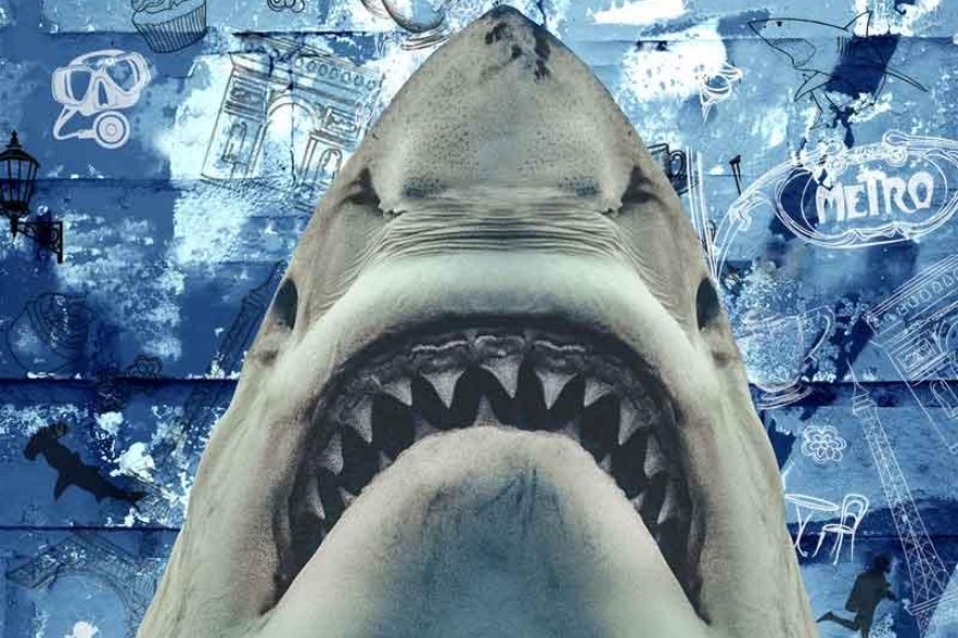 Fréquence FM : Evénement - Paris Shark Fest 2020 ( Du 18 09 au 20 09 2020 )